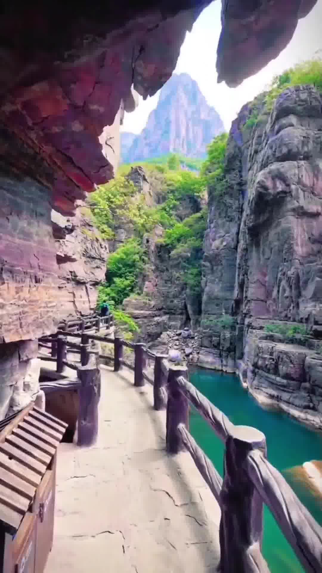 河南精彩活动,致敬嘉宾,与观众共襄盛举