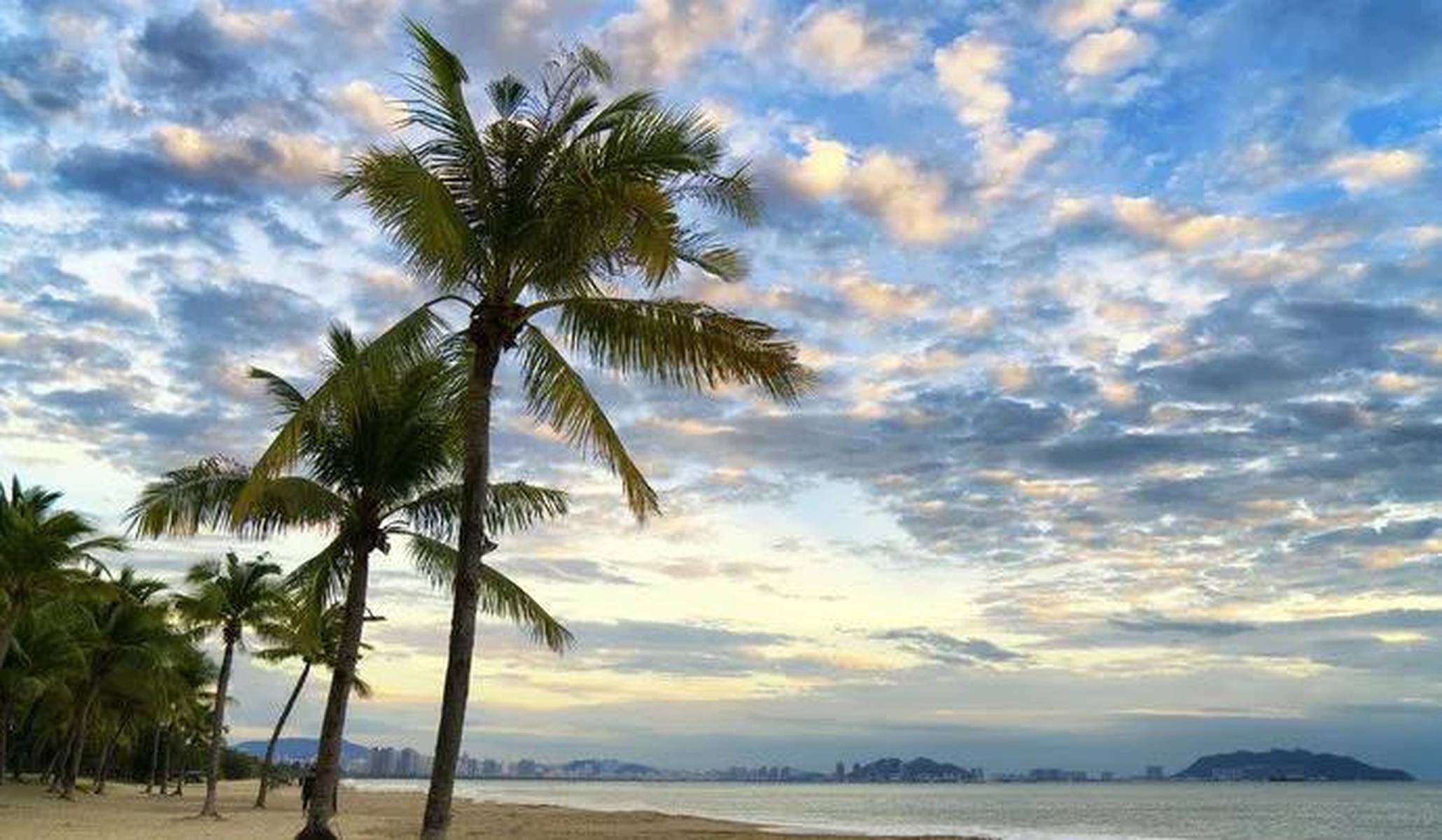 椰风海韵夏日情,海南之夏椰子糖的友情颂歌