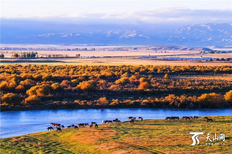 多元文化交融的边疆明珠——新疆